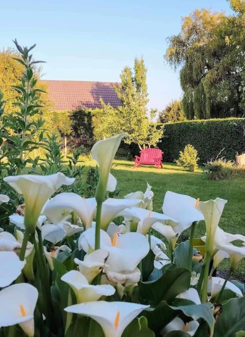 Le Jardin Des Lacs Gite Nature Et Spa Ardres Экстерьер фото